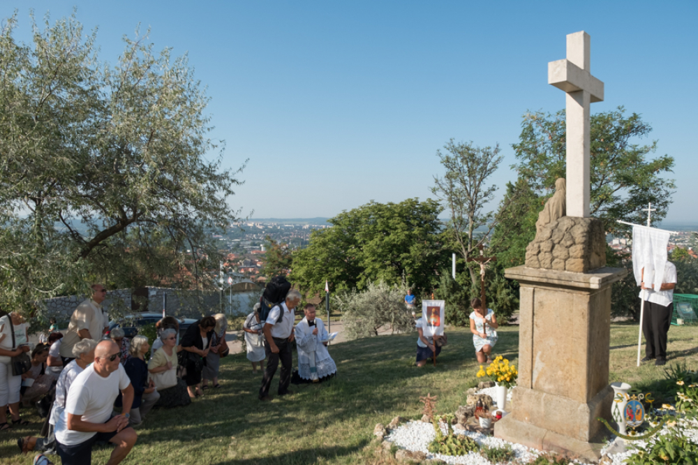 381_havasboldog-web-20180805-2