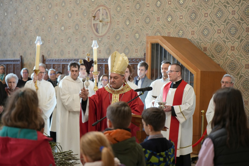 580_Viragvasarnap-2023-08