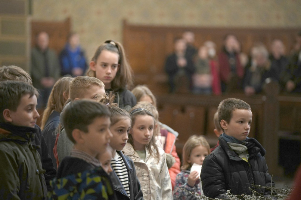 580_Viragvasarnap-2023-11