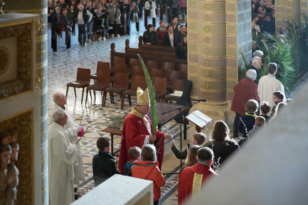 580_Viragvasarnap-2023-16