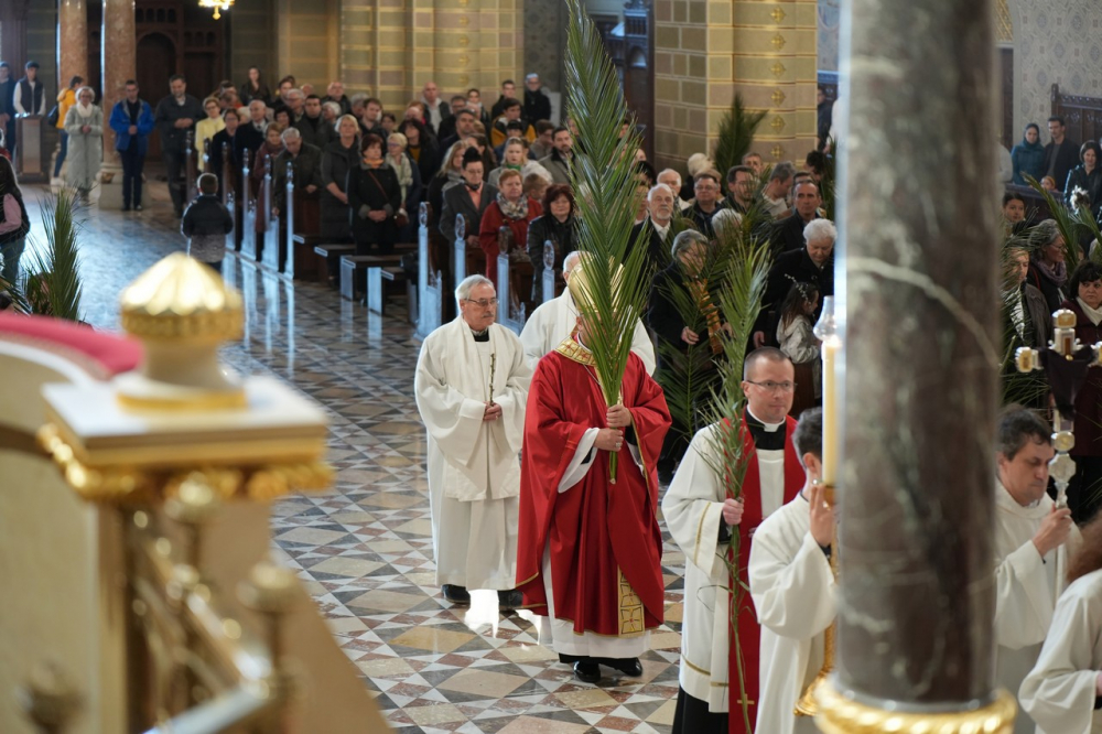 580_Viragvasarnap-2023-19