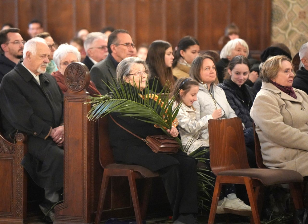 580_Viragvasarnap-2023-22