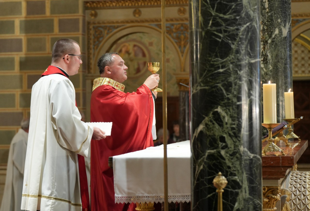 580_Viragvasarnap-2023-30