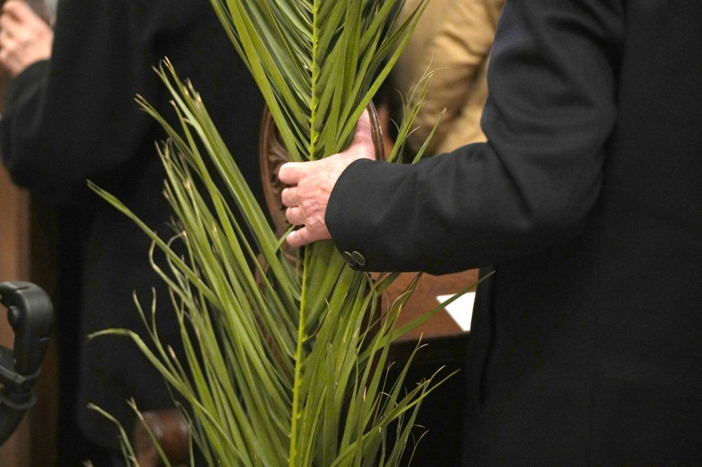 580_Viragvasarnap-2023-43