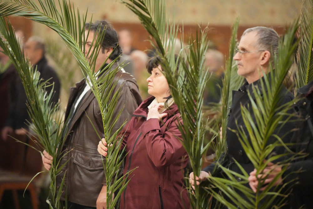 580_Viragvasarnap-2023-46