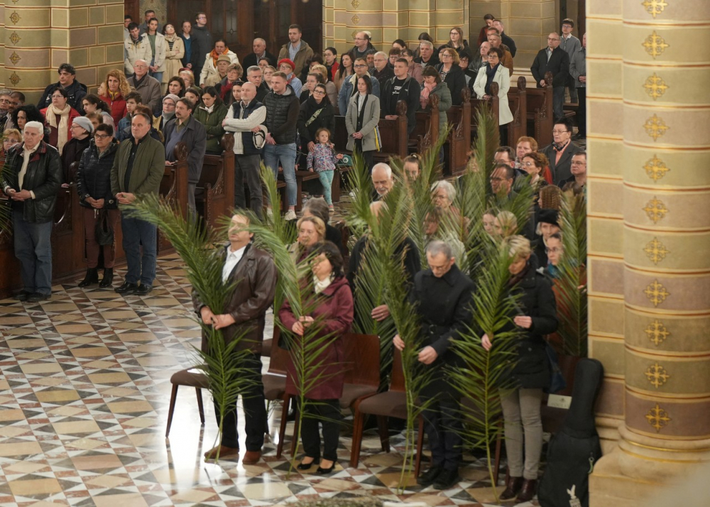 580_Viragvasarnap-2023-48