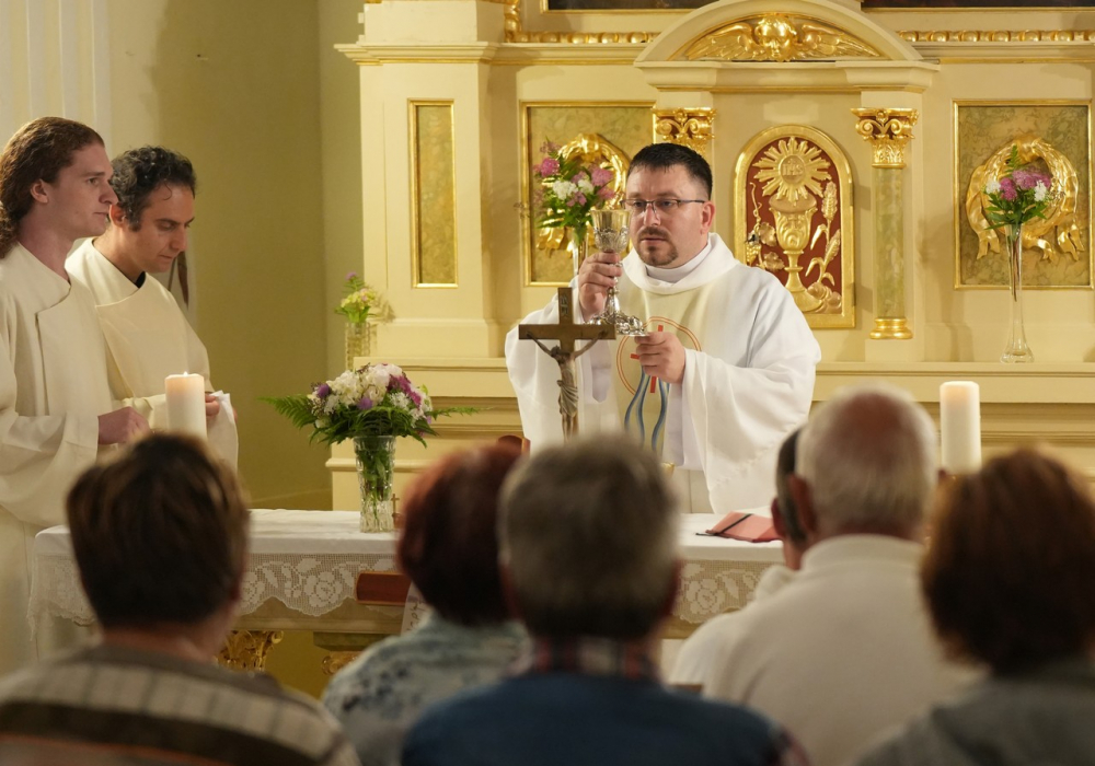 637_Gyalog-papokert-38