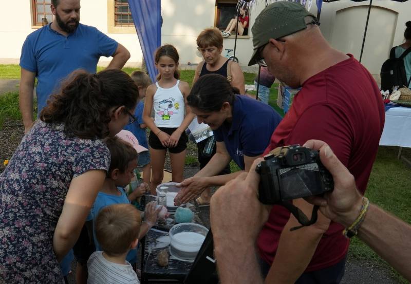 thumb_661_Rozsakert-07