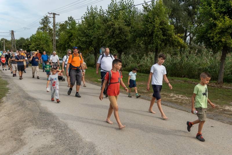 imgi_25_thumb_684_2023_apa-fia_zarandoklat_23