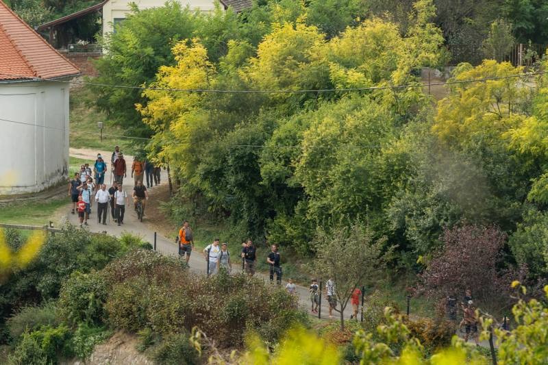 imgi_49_thumb_684_2023_apa-fia_zarandoklat_46