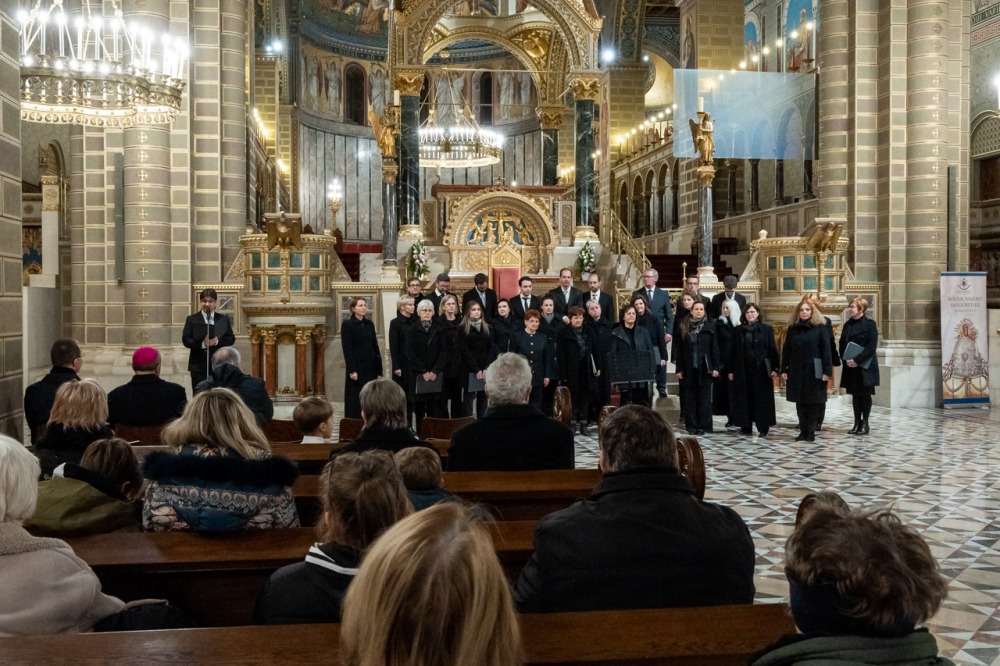 imgi_103_713_2023_11_palestrina korus_33