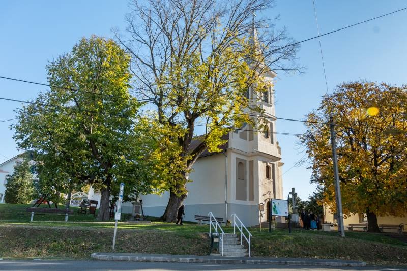 imgi_4_thumb_709_2023_11_hassagy