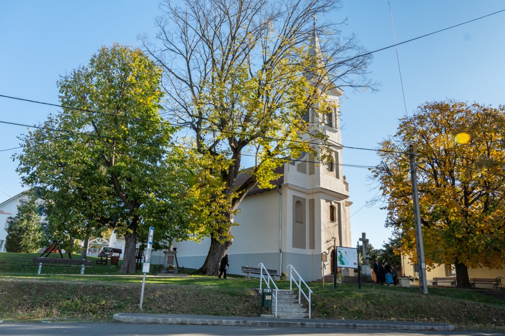 imgi_72_709_2023_11_hassagy