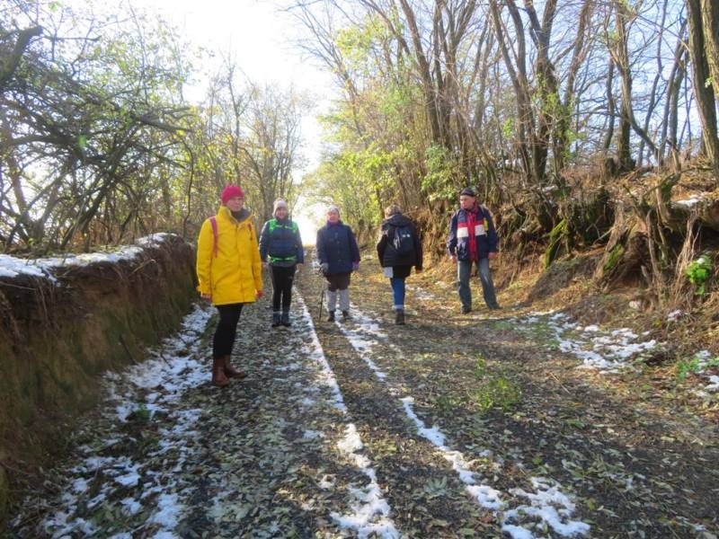 imgi_4_thumb_726_mkemend2