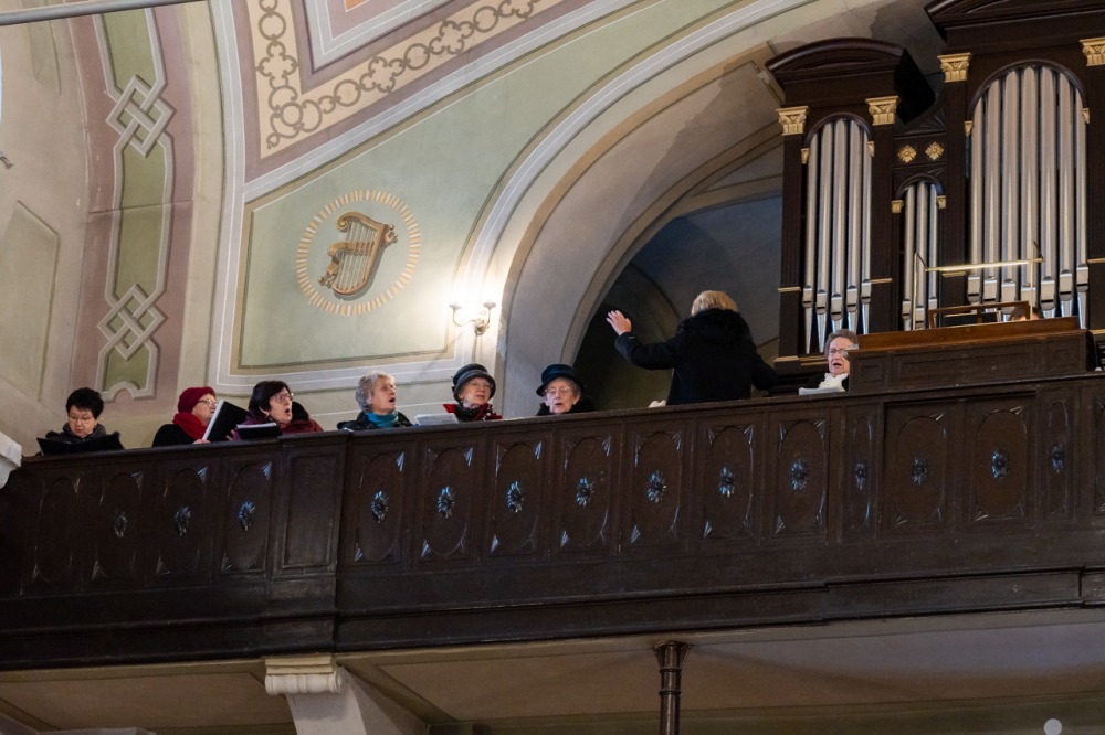 imgi_91_728_2023_12_10_boly_28