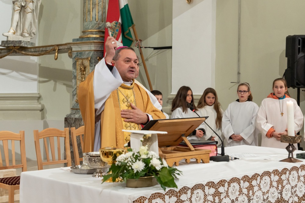 imgi_106_746_2024_01_31_tamasi_32