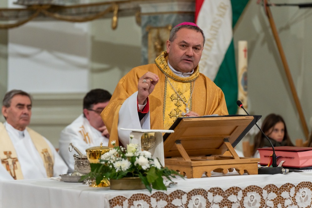 imgi_112_746_2024_01_31_tamasi_37