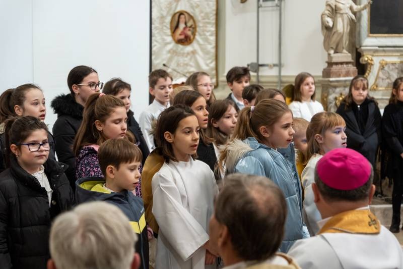 imgi_15_thumb_746_2024_01_31_tamasi_15