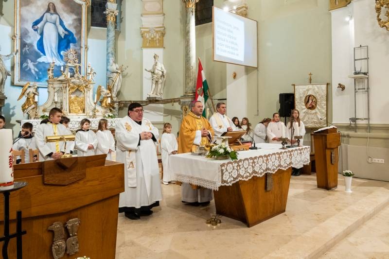 imgi_28_thumb_746_2024_01_31_tamasi_28