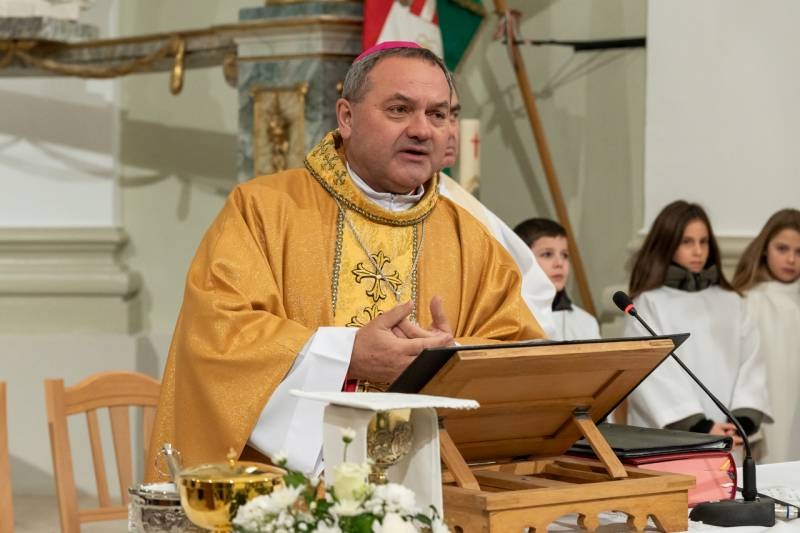 imgi_29_thumb_746_2024_01_31_tamasi_30