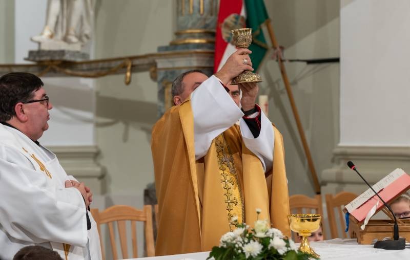 imgi_43_thumb_746_2024_01_31_tamasi_45