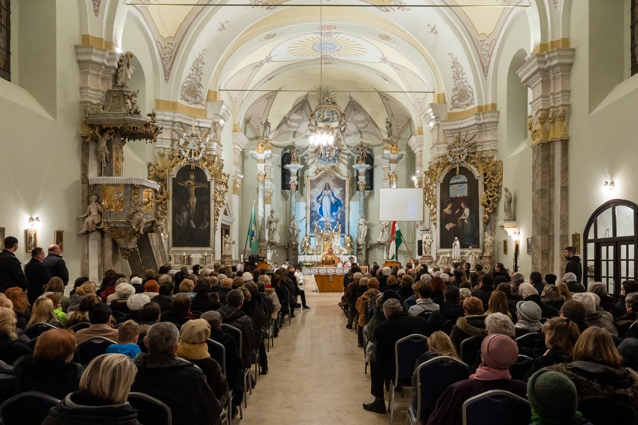 imgi_56_2024_01_31_tamasi_41