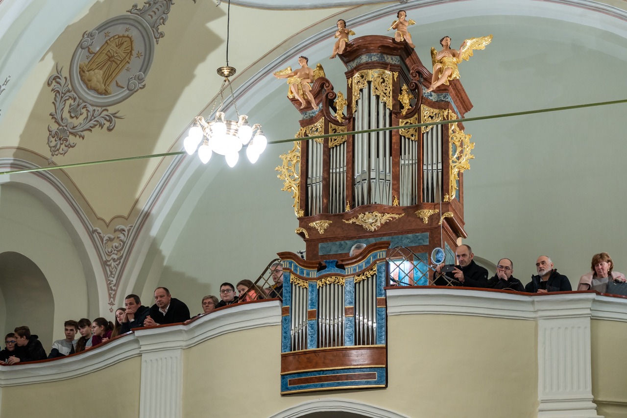 imgi_61_2024_01_31_tamasi_22