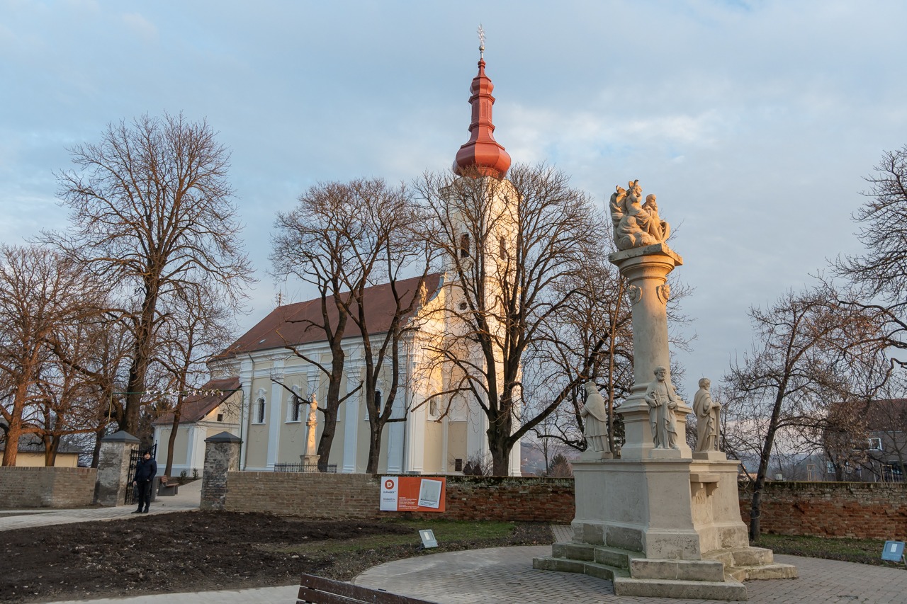 imgi_62_2024_01_31_tamasi_04