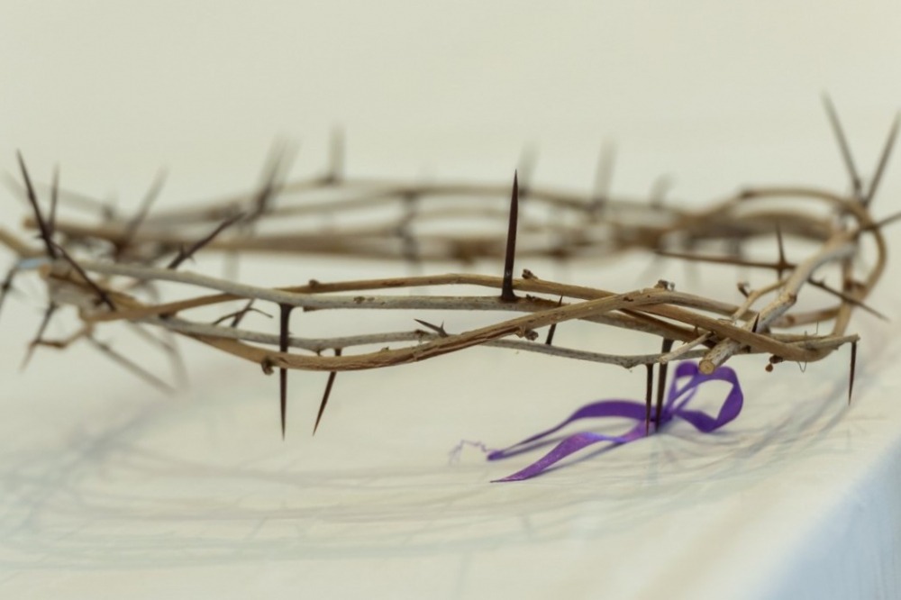 imgi_87_757_2024_02_18_tamasi_07