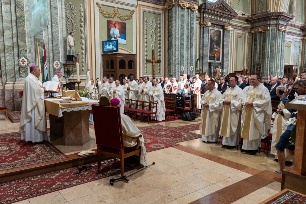 imgi_144_785_2024_05_12_szekszard mayer biro_11