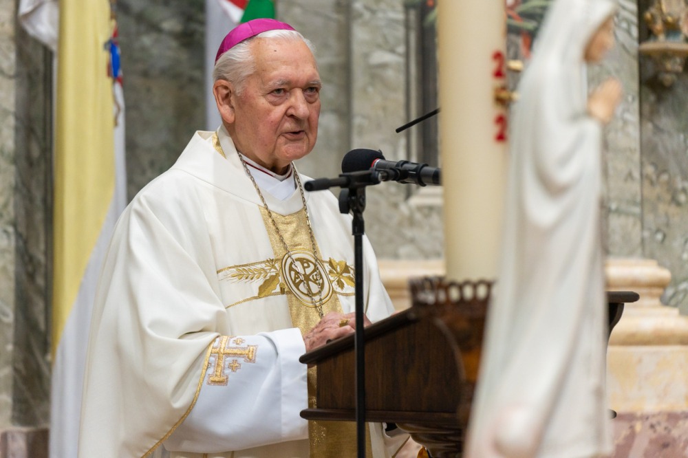 imgi_146_785_2024_05_12_szekszard mayer biro_13