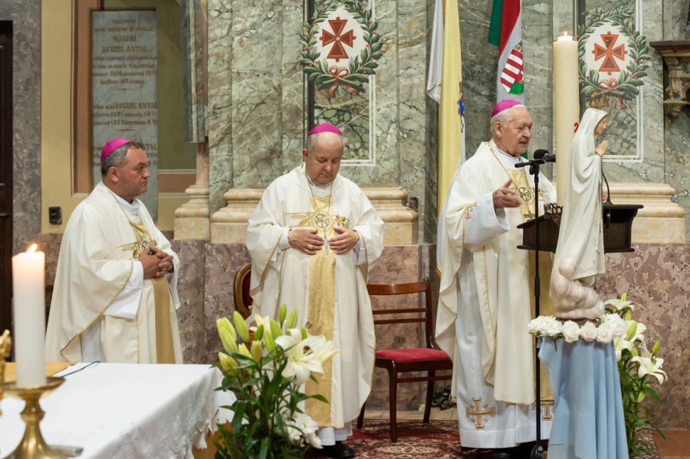 imgi_149_785_2024_05_12_szekszard mayer biro_16