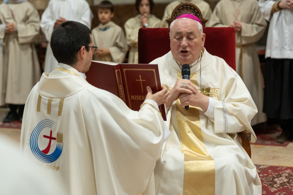 imgi_156_785_2024_05_12_szekszard mayer biro_23