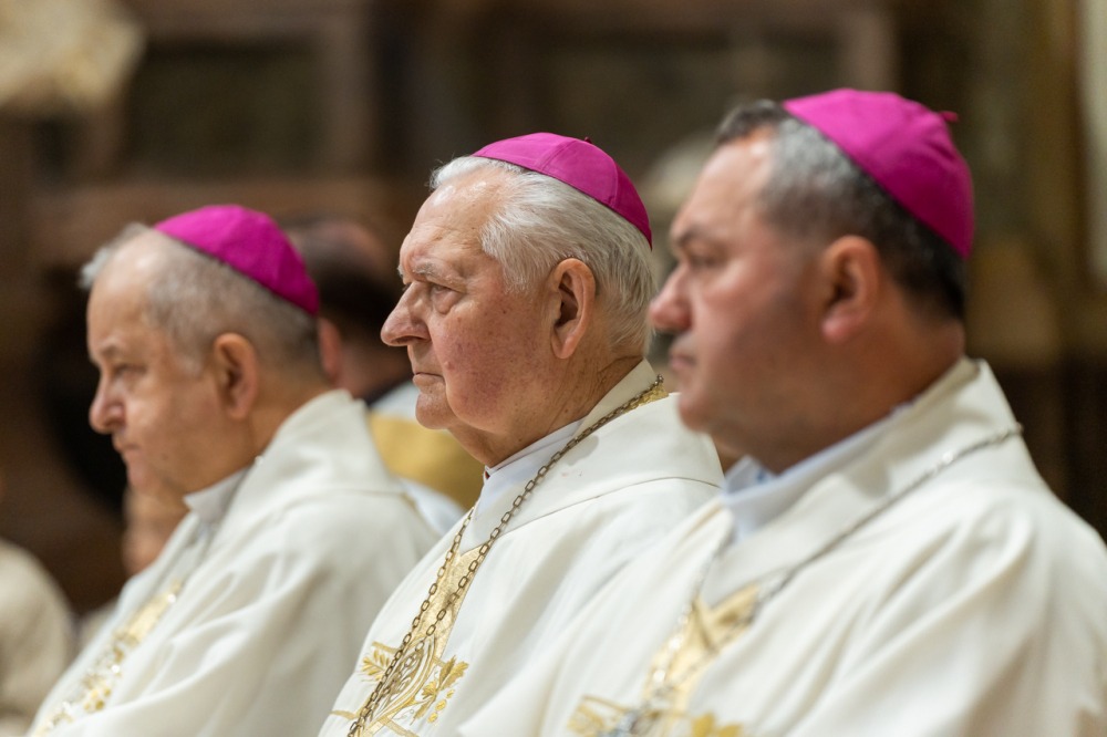 imgi_161_785_2024_05_12_szekszard mayer biro_28