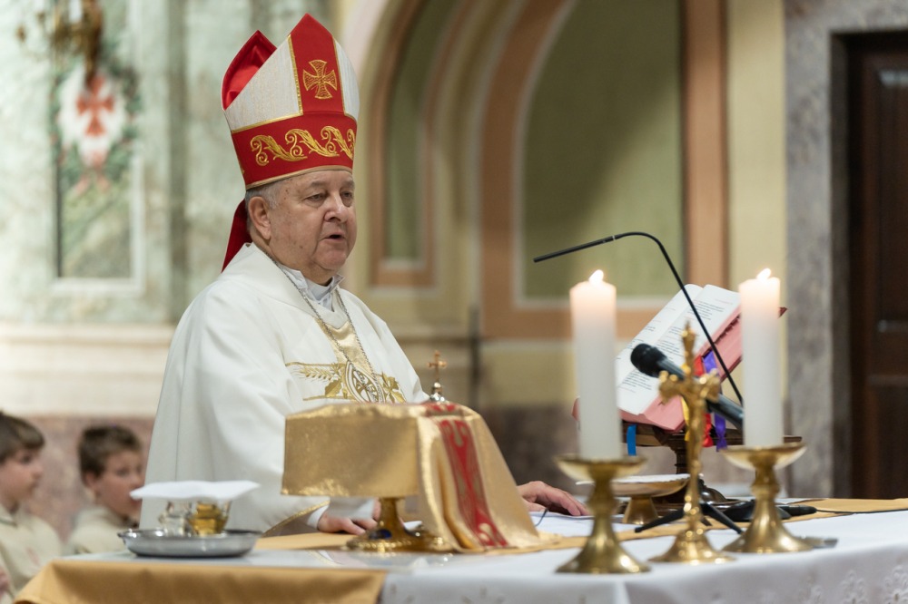 imgi_170_785_2024_05_12_szekszard mayer biro_38