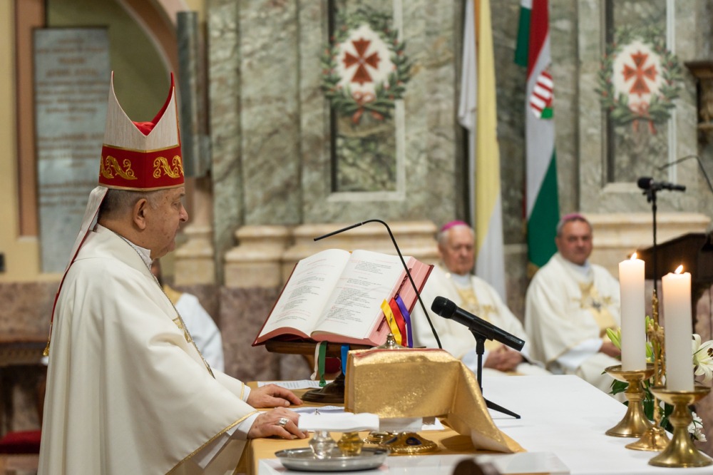 imgi_179_785_2024_05_12_szekszard mayer biro_48