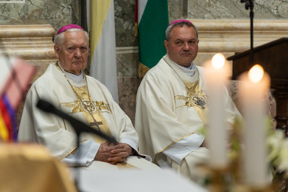 imgi_180_785_2024_05_12_szekszard mayer biro_49