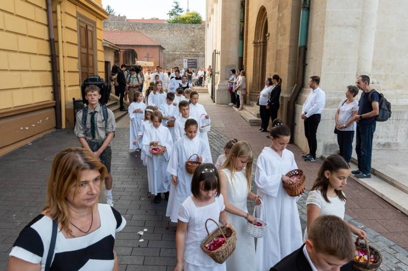 imgi_53_thumb_794_2024_06_02_urnapja pecs_53