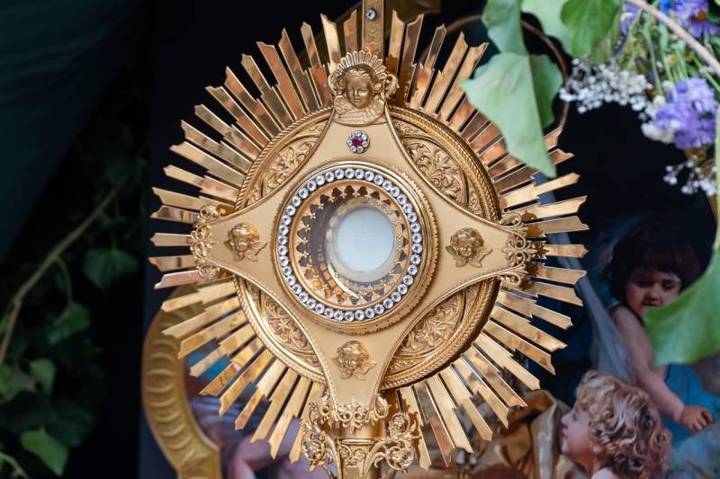 imgi_80_thumb_794_2024_06_02_urnapja pecs_79