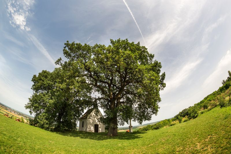 2971_14057_zoomed_orb-n