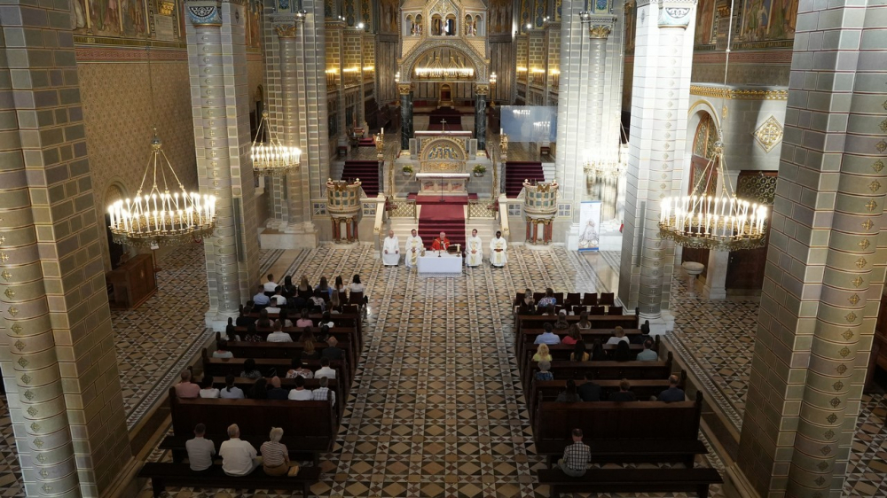 369_Gyogyszereszmise-2022-026