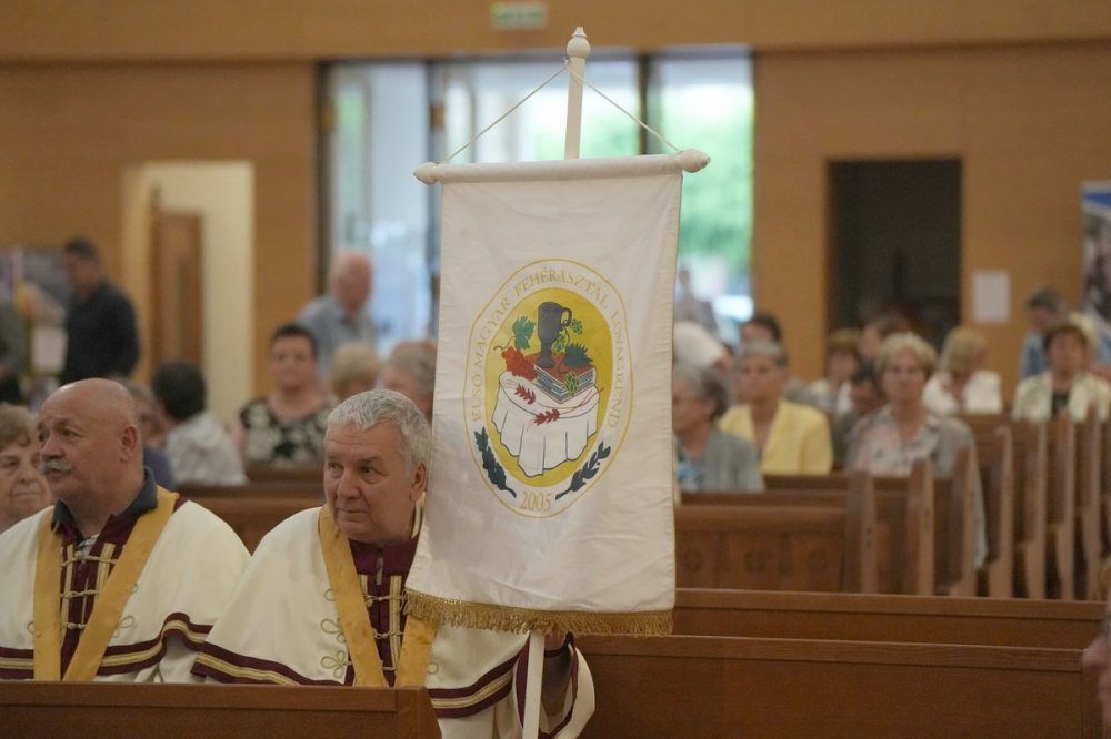 631_Mohacs-zaszlomegaldas-01