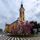 7221f9f8b8db4f9d42be8c7869735c2d_w135_h135_cp