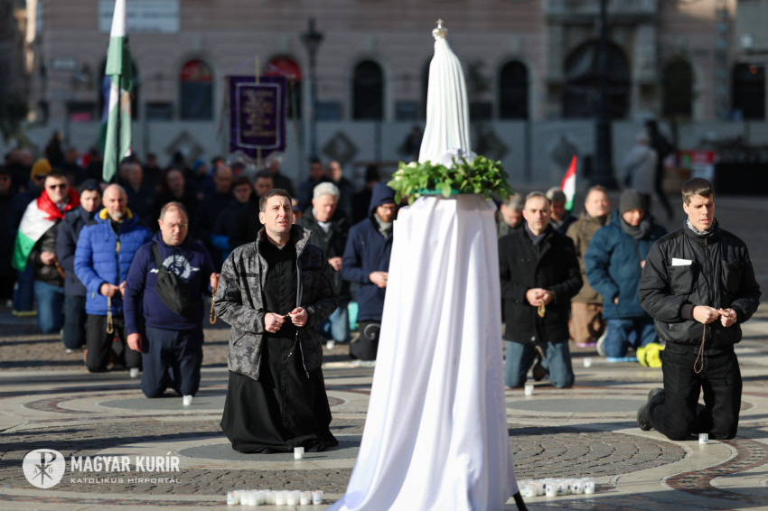 terdeplo_rozsafuzer1