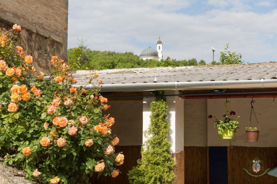 imgi_19_1188_6414_zoomed_szent_mor_ovoda_tala-lkozo_a_puspokkel_web-20160518-4