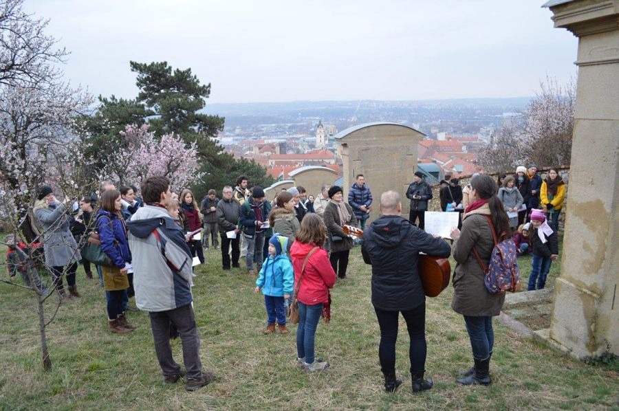 imgi_23_1056_5684_zoomed_dsc_2274