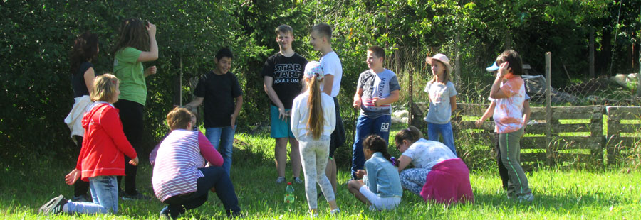 Komloi-nyar_koznev_09_K