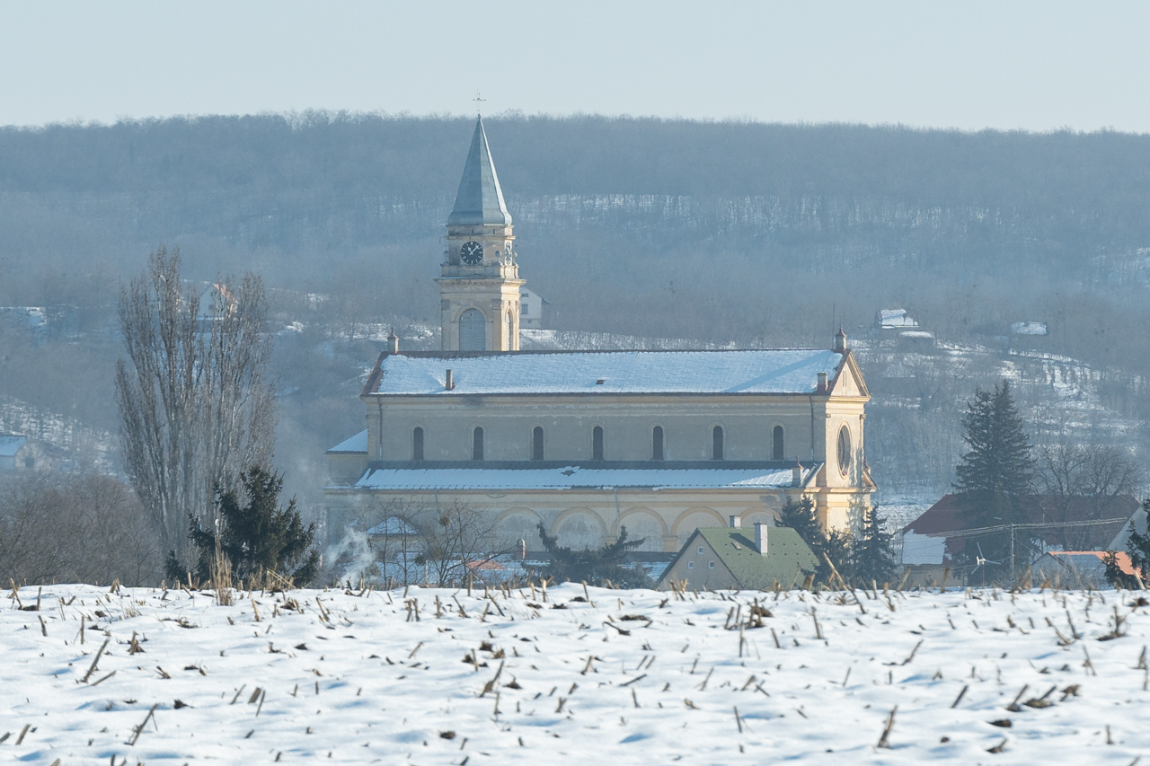 2026_01_18_dobrokoz_61